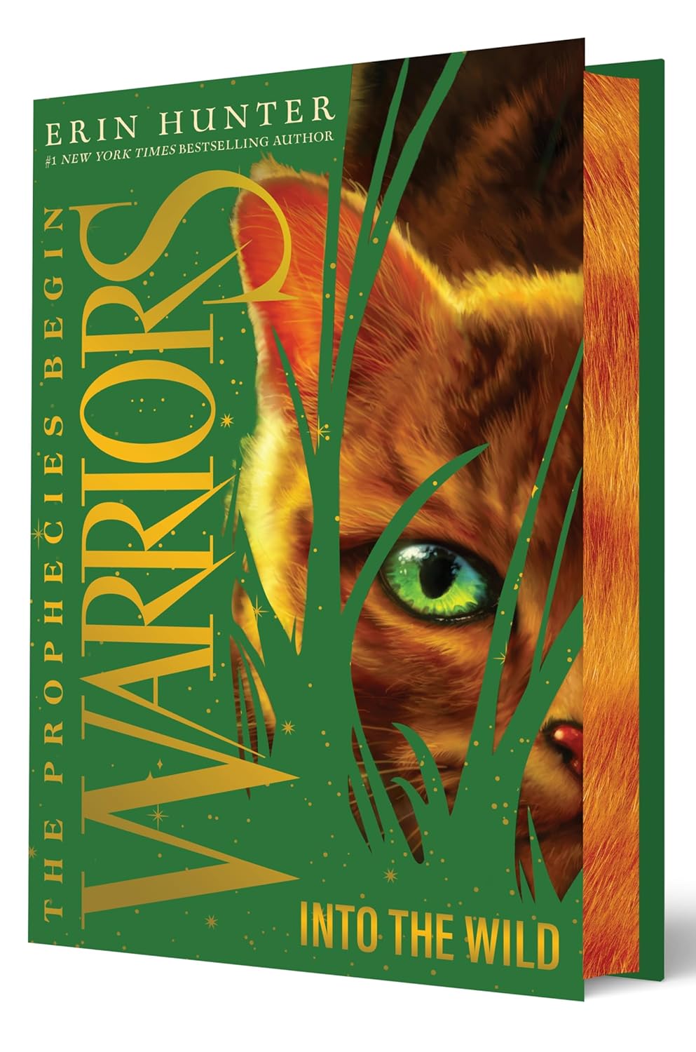 Warriors The Prophecies Begin #1 Into the Wild Collector's Deluxe Limited Ed