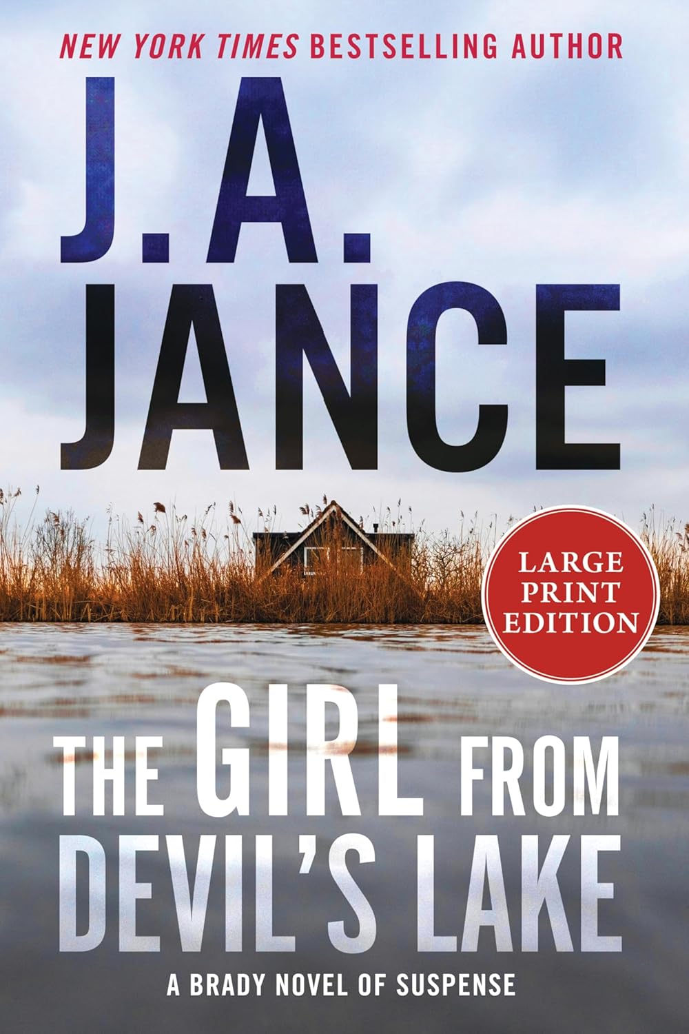 Girl from Devil's Lake: A Brady Novel of Suspense
