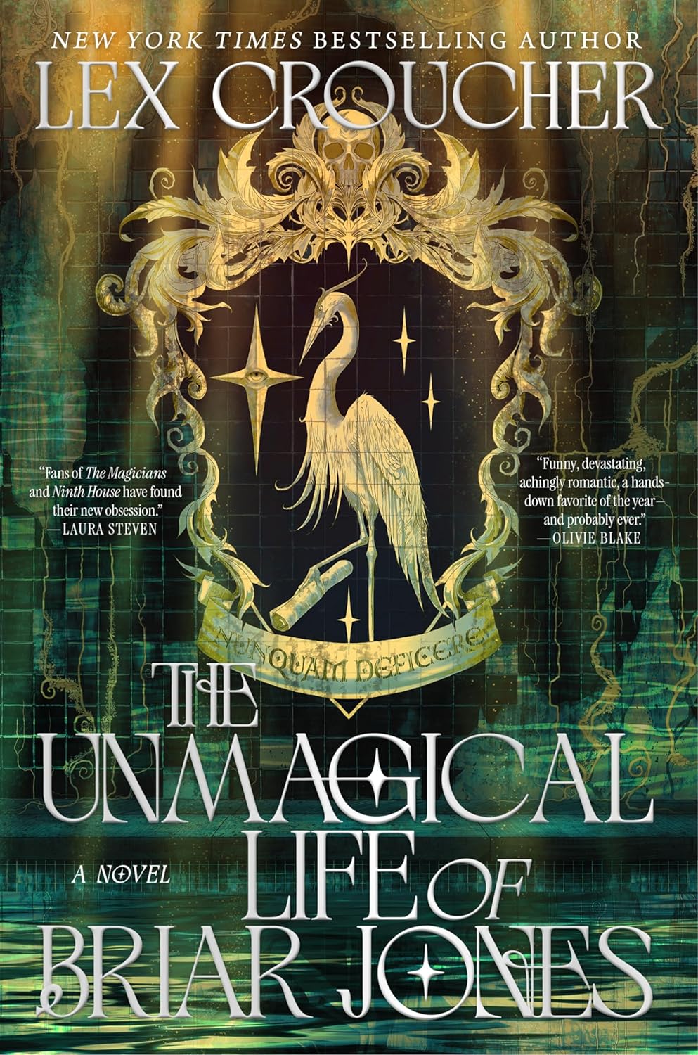 The Unmagical Life of Briar Jones