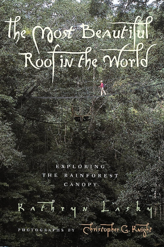 Most Beautiful Roof in the World: Exploring the Rainforest Canopy
