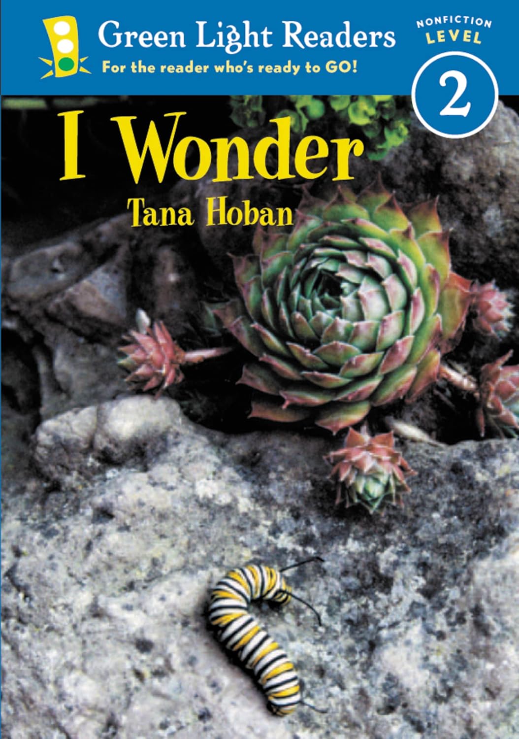 I Wonder (1-Simul)