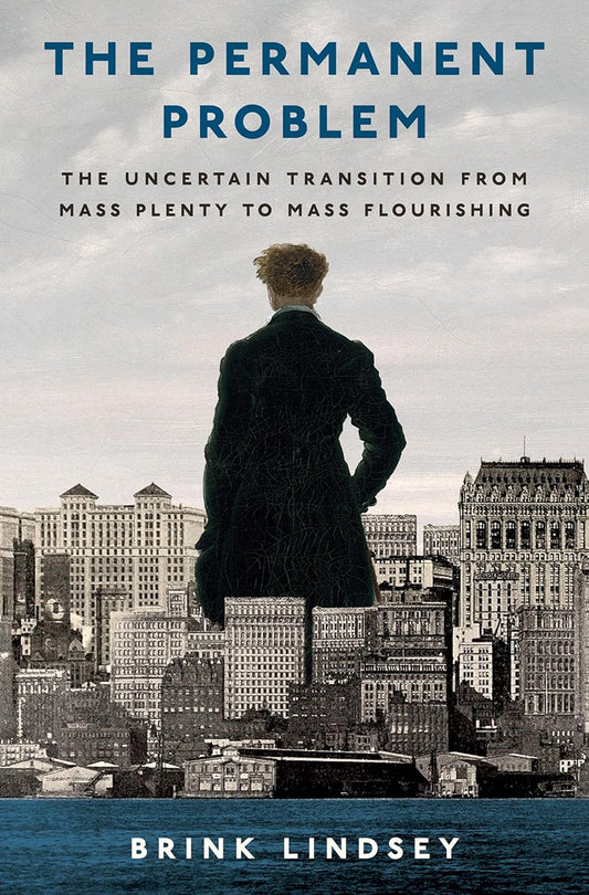 The Permanent Problem: The Uncertain Transition from Mass Plenty to Mass Flourishing