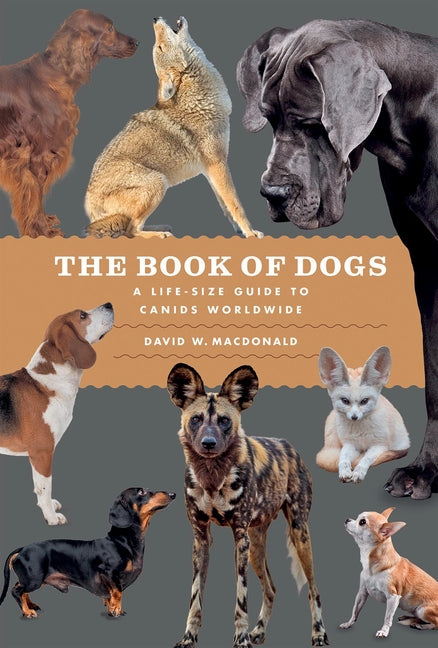 The Book of Dogs: A Life-Size Guide to Canids Worldwide