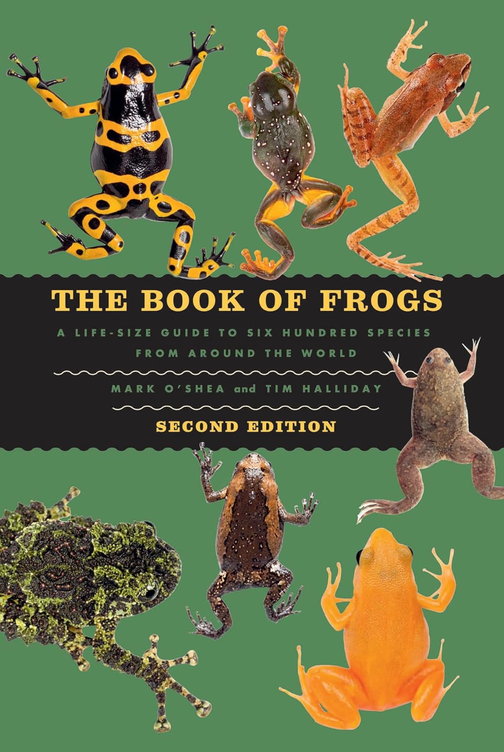 The Book of Frogs: A Life-Size Guide to Six Hundred Species from Around the World, Second Edition