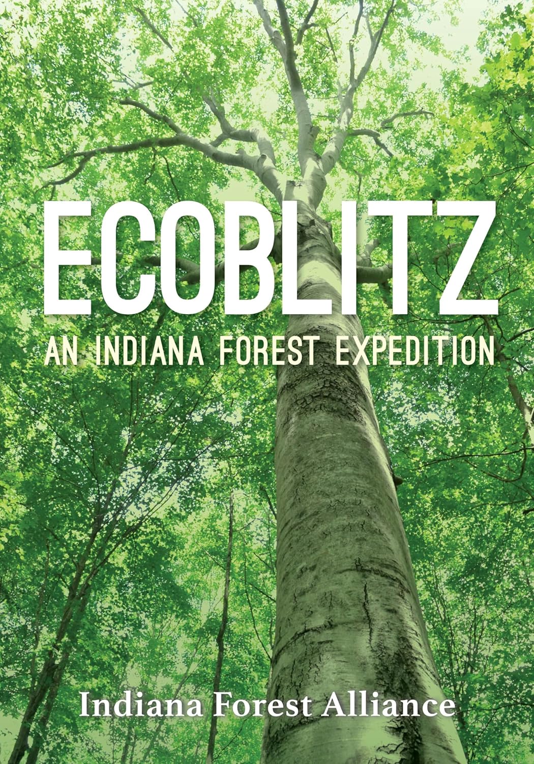 Ecoblitz: An Indiana Forest Expedition