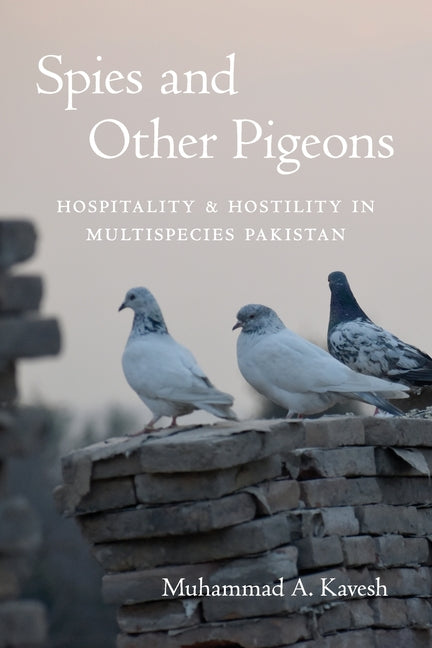 Spies and Other Pigeons: Hospitality and Hostility in Multispecies Pakistan
