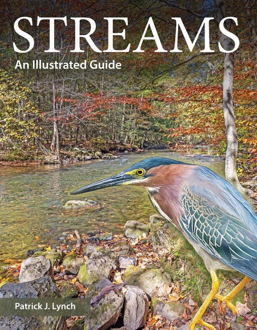 Streams: An Illustrated Guide