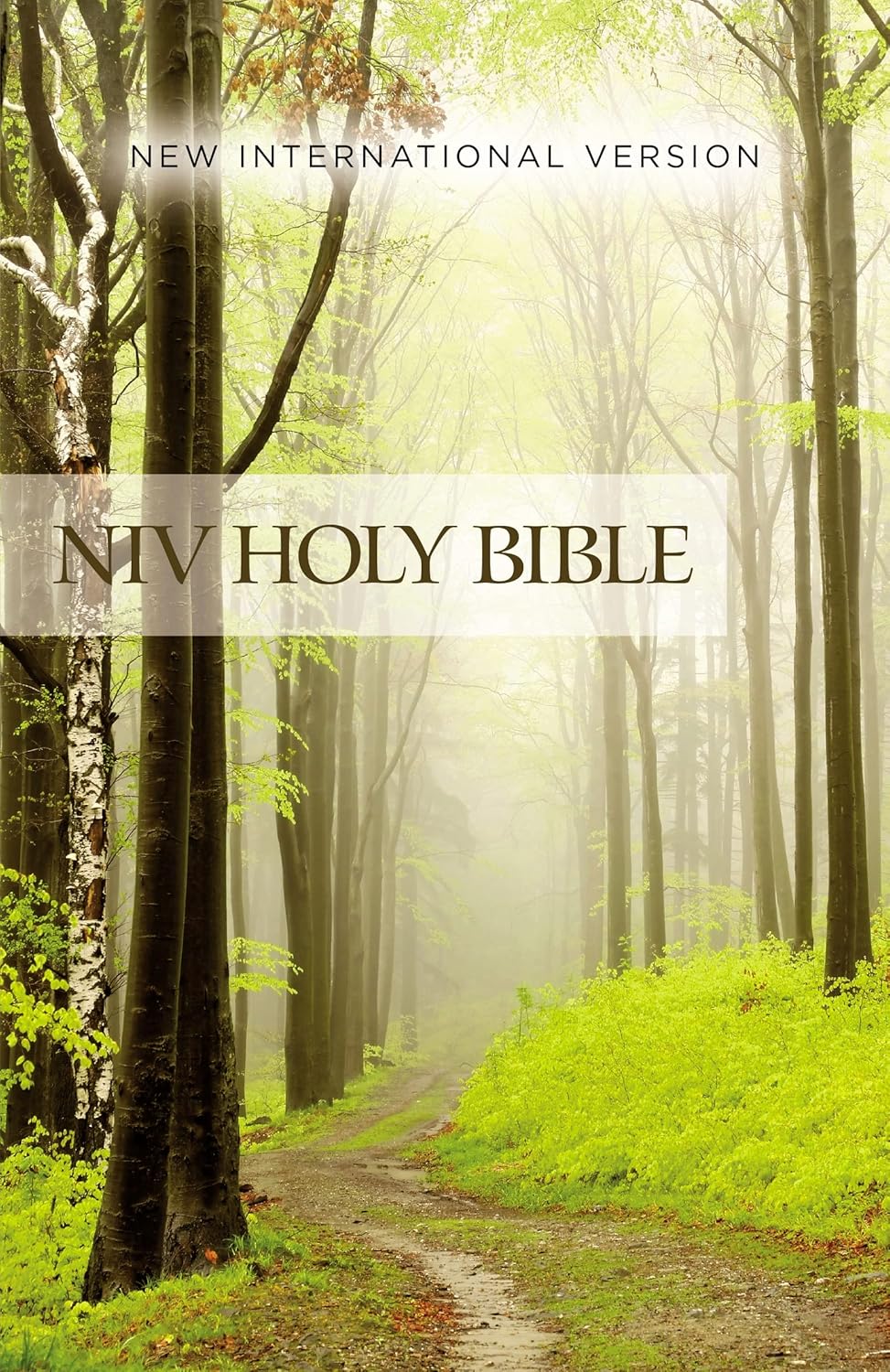 NIV, Value Outreach Bible, Paperback (Special)