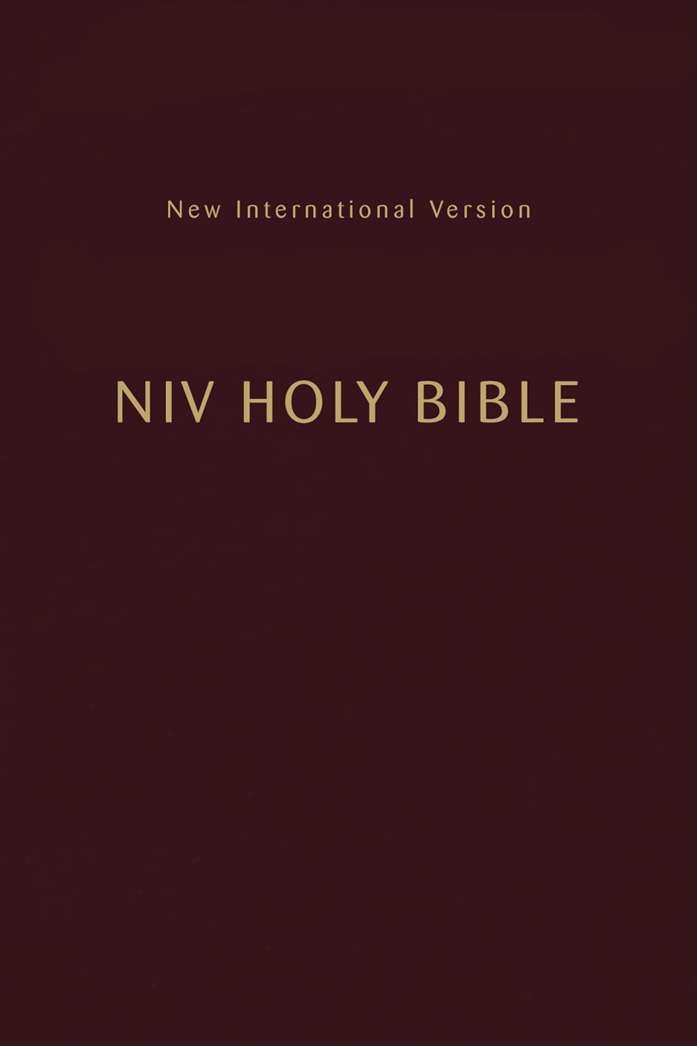 Niv, Holy Bible, Compact, Paperback, Burgundy, Comfort Print