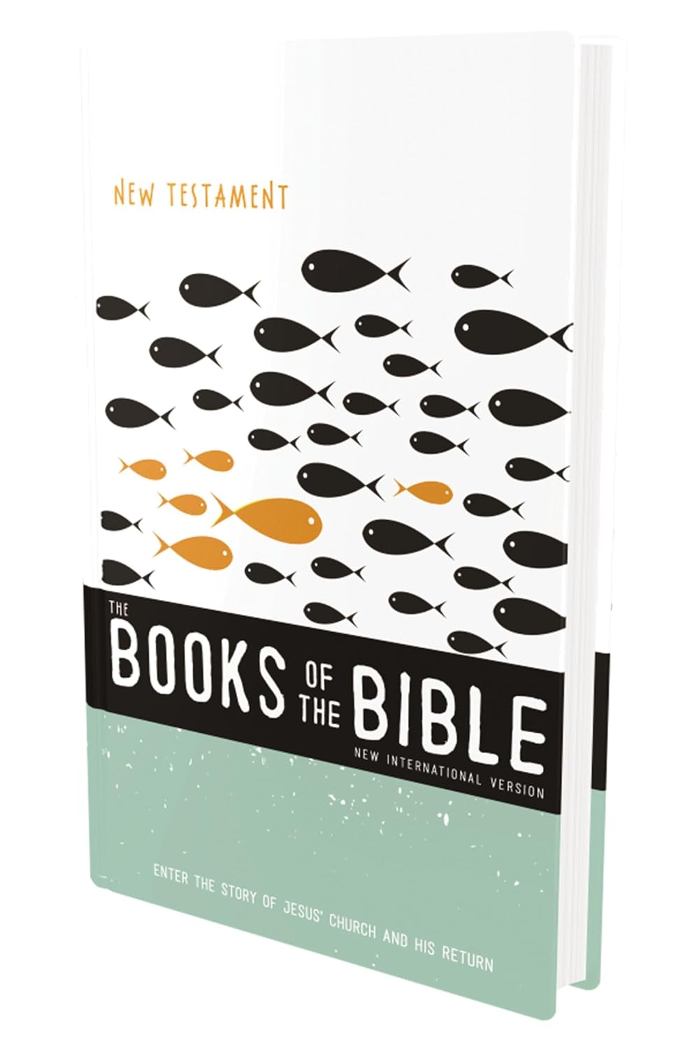 Niv, the Books of the Bible: New Testament, Paperback: Enter the Story of Jesus' Church and His Return