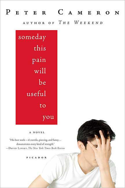 Someday This Pain Will Be Useful to You (Picador)