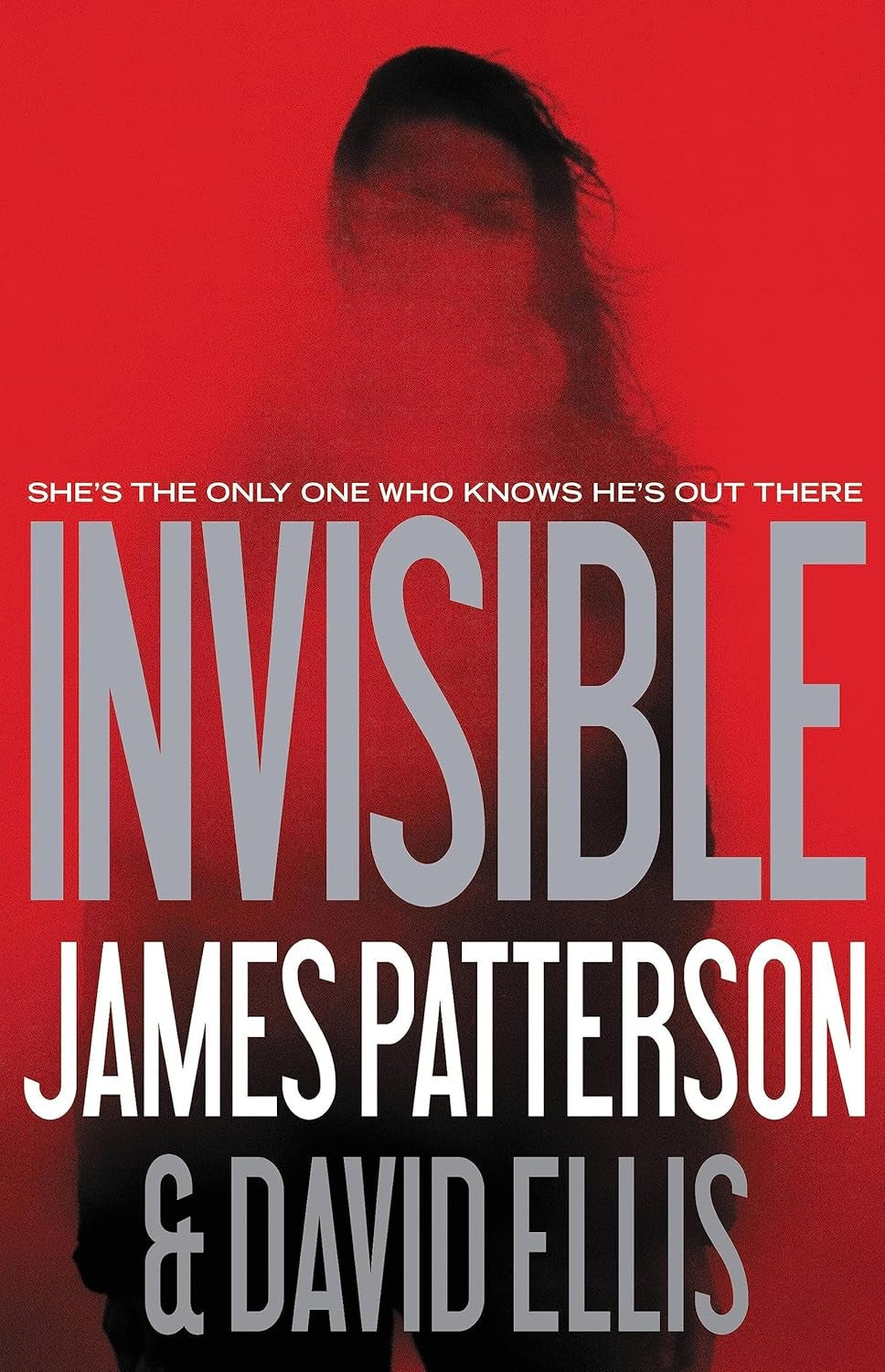 
Invisible (Invisible #1)