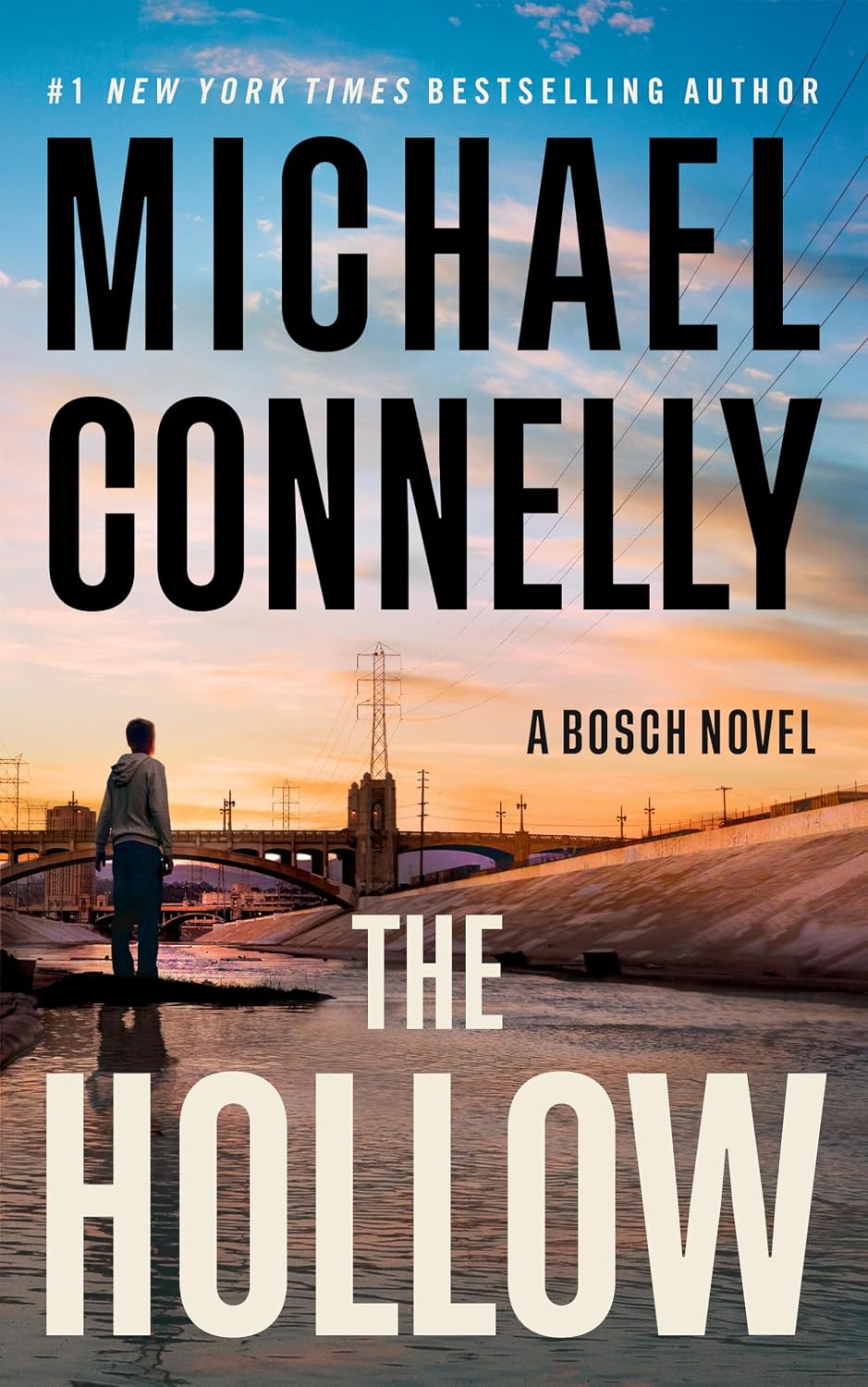 The Hollow: A Harry Bosch Novel