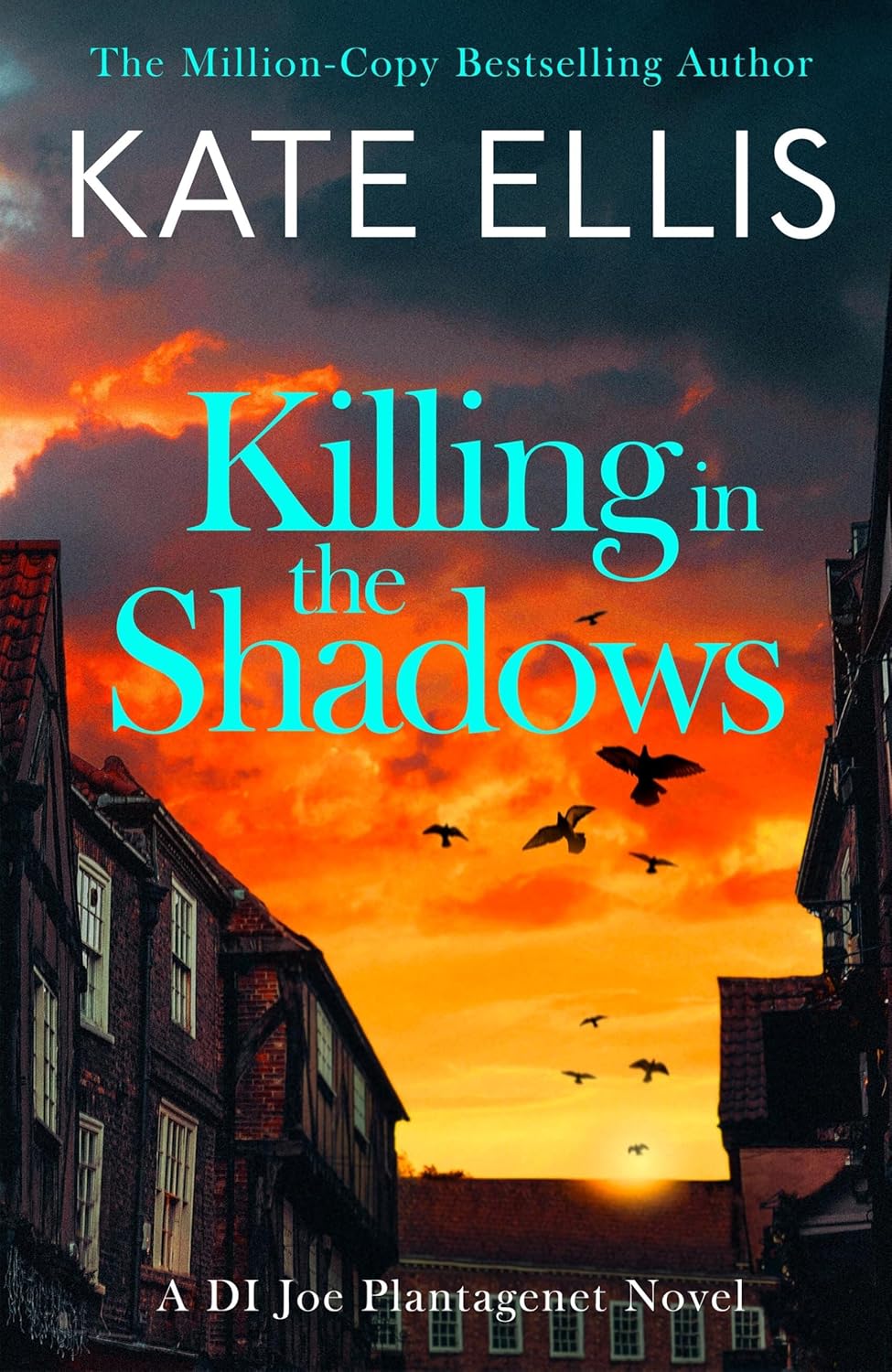 Killing in the Shadows: The Brand New Book in the Di Joe Plantagenet Crime Series
