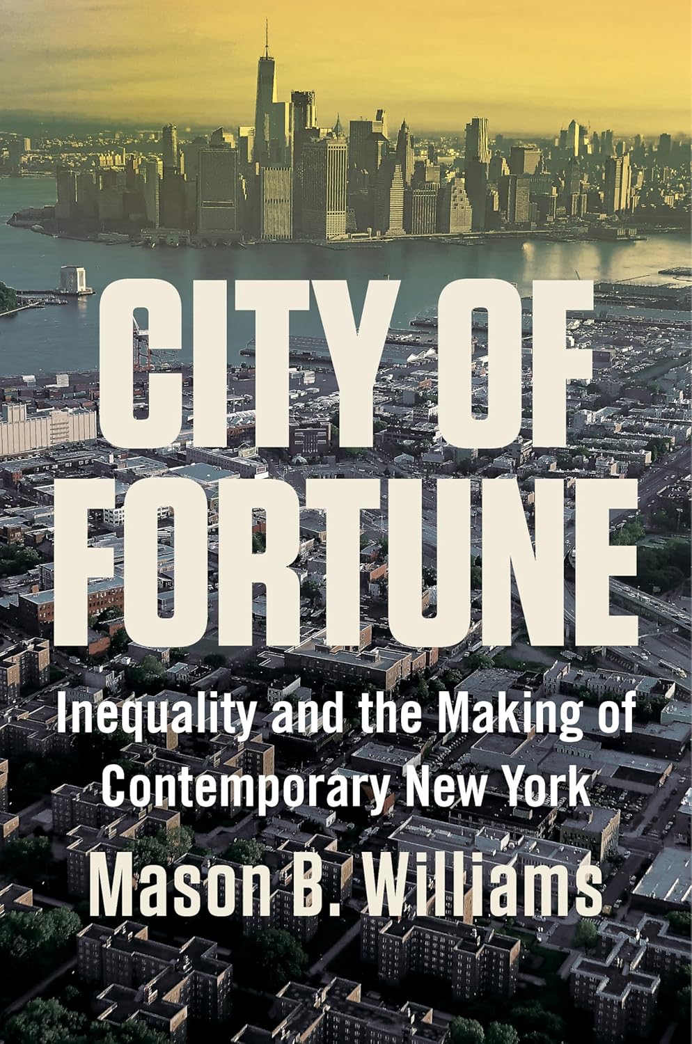 City of Fortune: Inequality and the Making of Contemporary New York