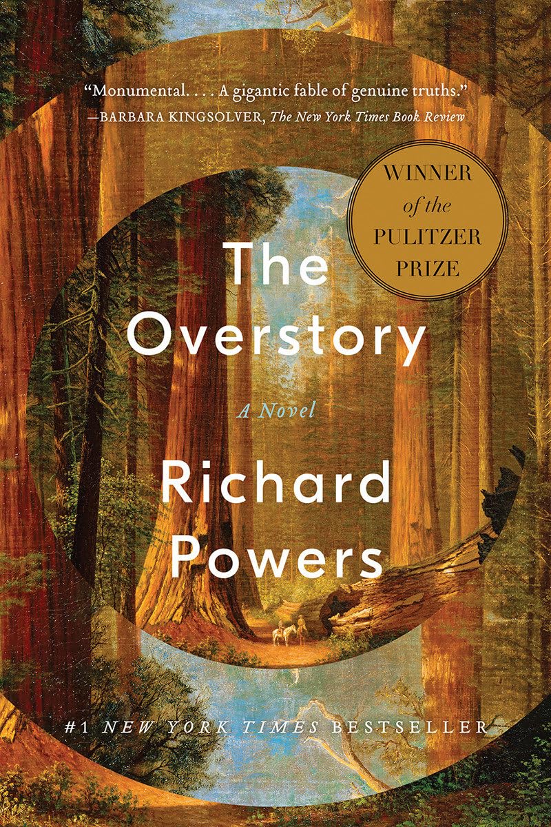 Overstory