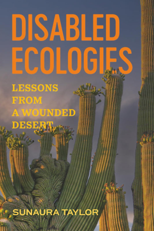 Disabled Ecologies: Lessons from a Wounded Desert