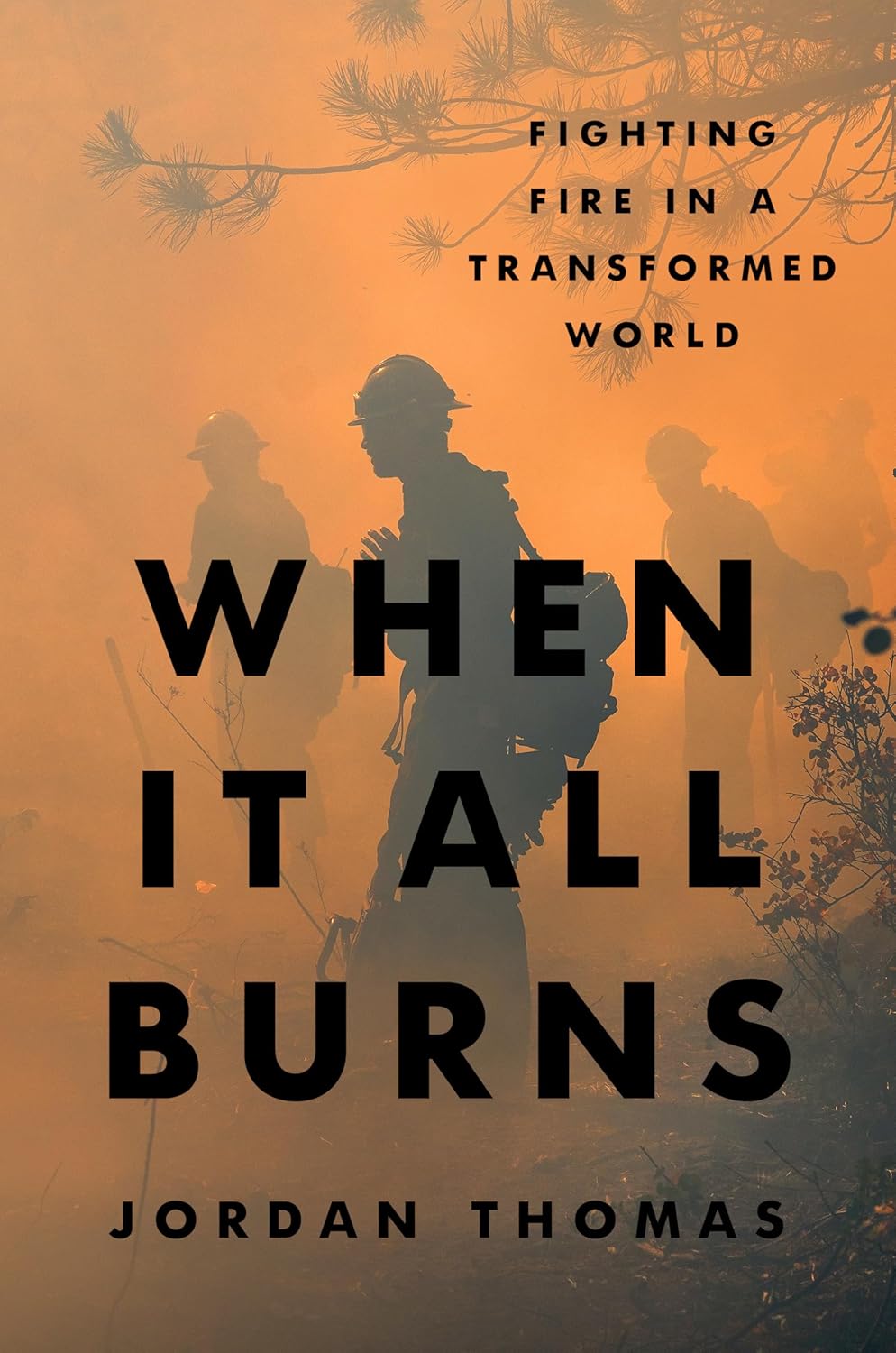 When It All Burns: Fighting Fire in a Transformed World