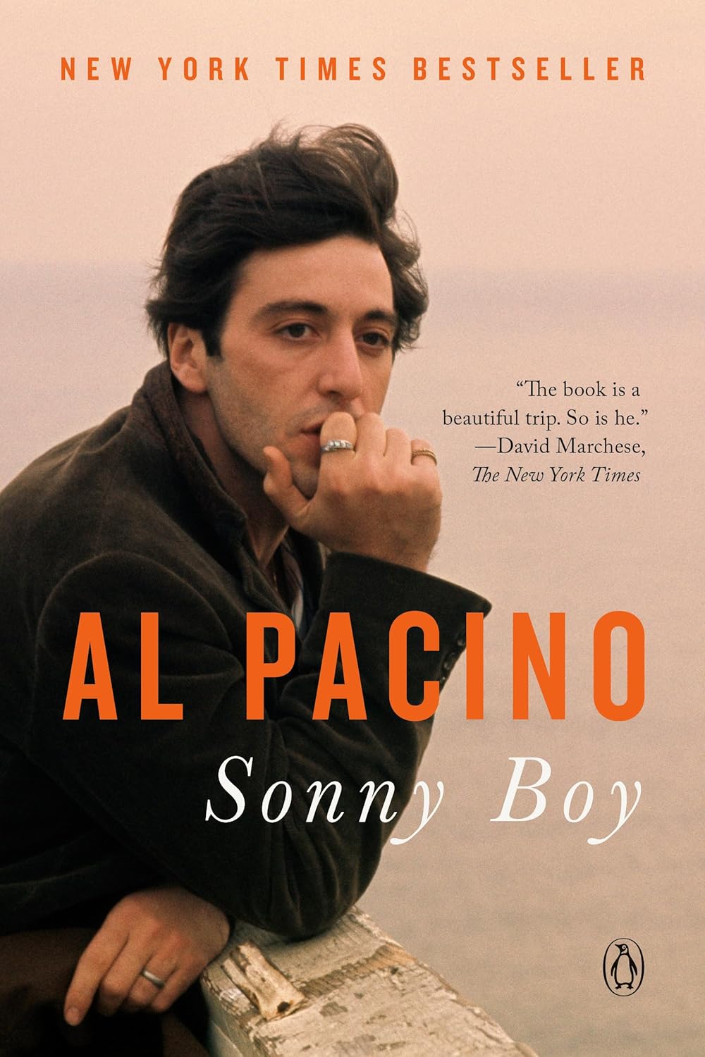 Sonny Boy: A Memoir