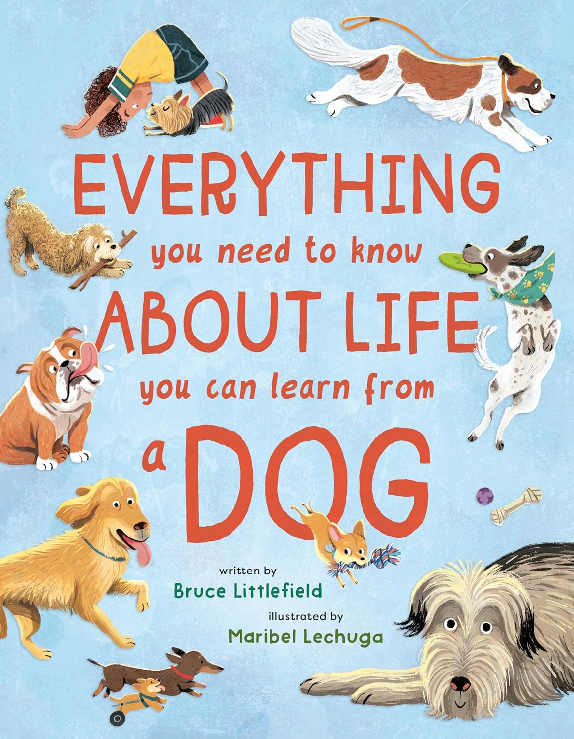 Everything You Need to Know about Life You Can Learn from a Dog