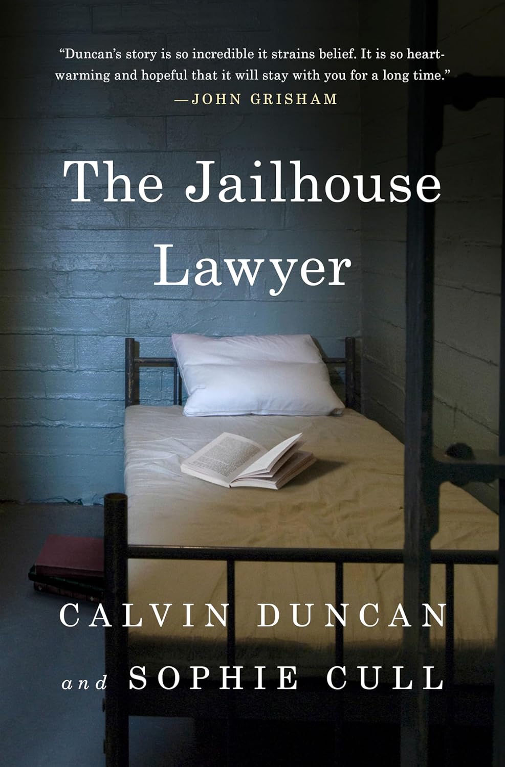 Jailhouse Lawyer