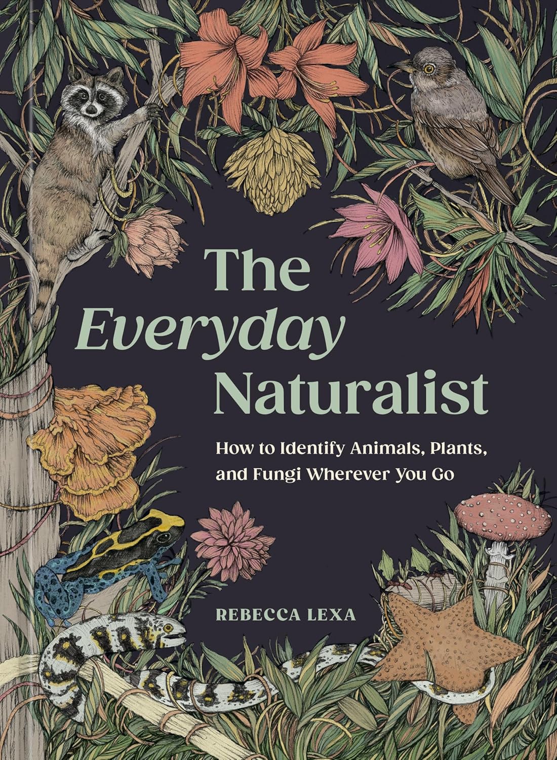 Everyday Naturalist How to Identify Animals, Plants, and Fungi Wherever You Go