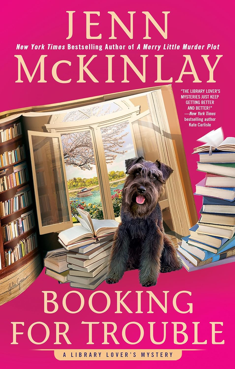 Booking for Trouble