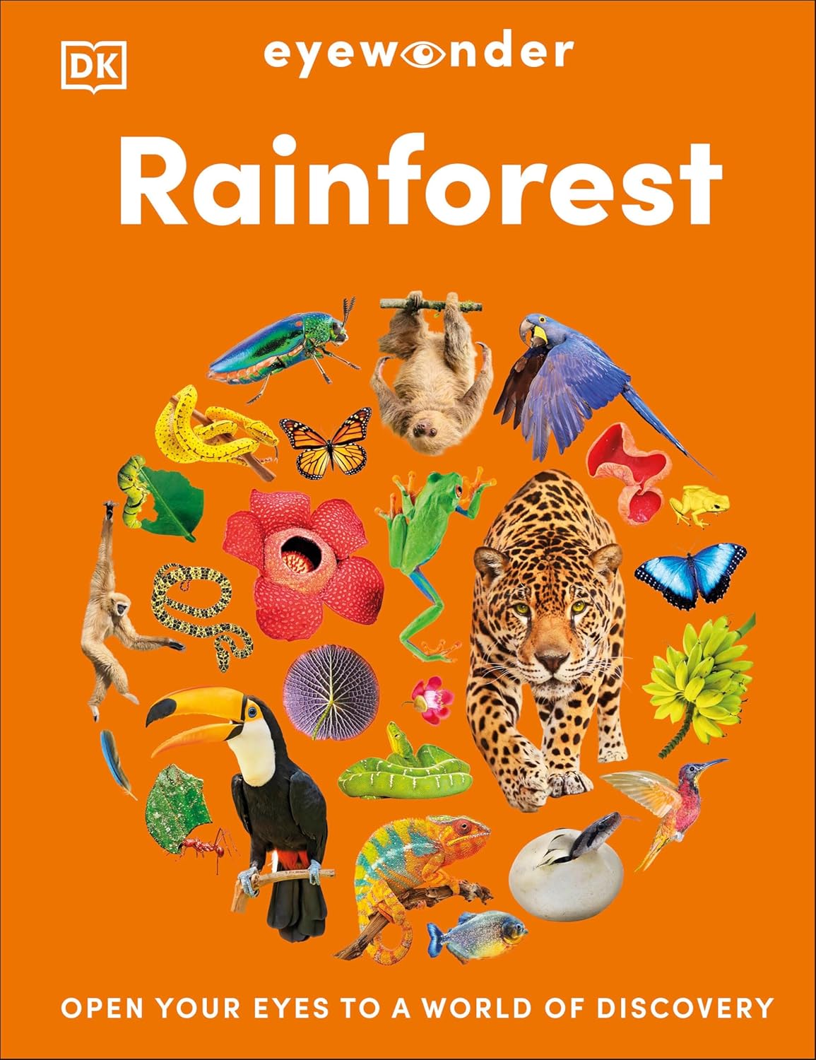 Eyewonder Rainforest: Open Your Eyes to a World of Discovery