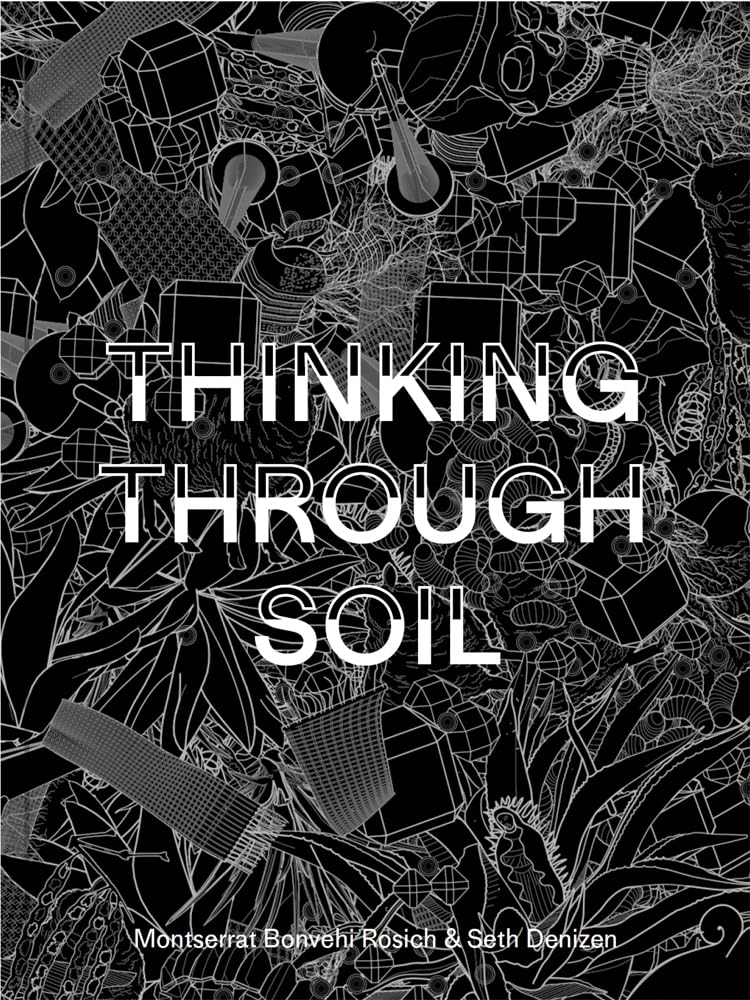 Thinking Through Soil Wastewater Agriculture in the Mezquital Valley