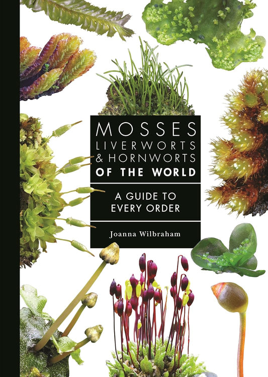 Mosses, Liverworts, and Hornworts of the World: A Guide to Every Order