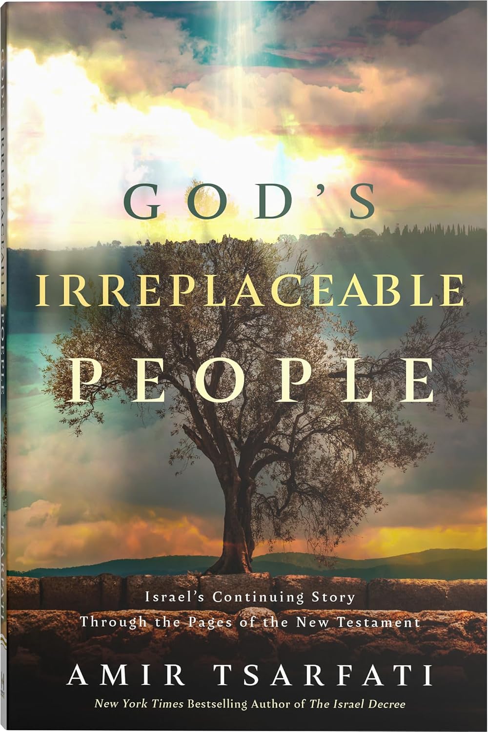 God's Irreplaceable People: Israel's Continuing Story Through the Pages of the New Testament