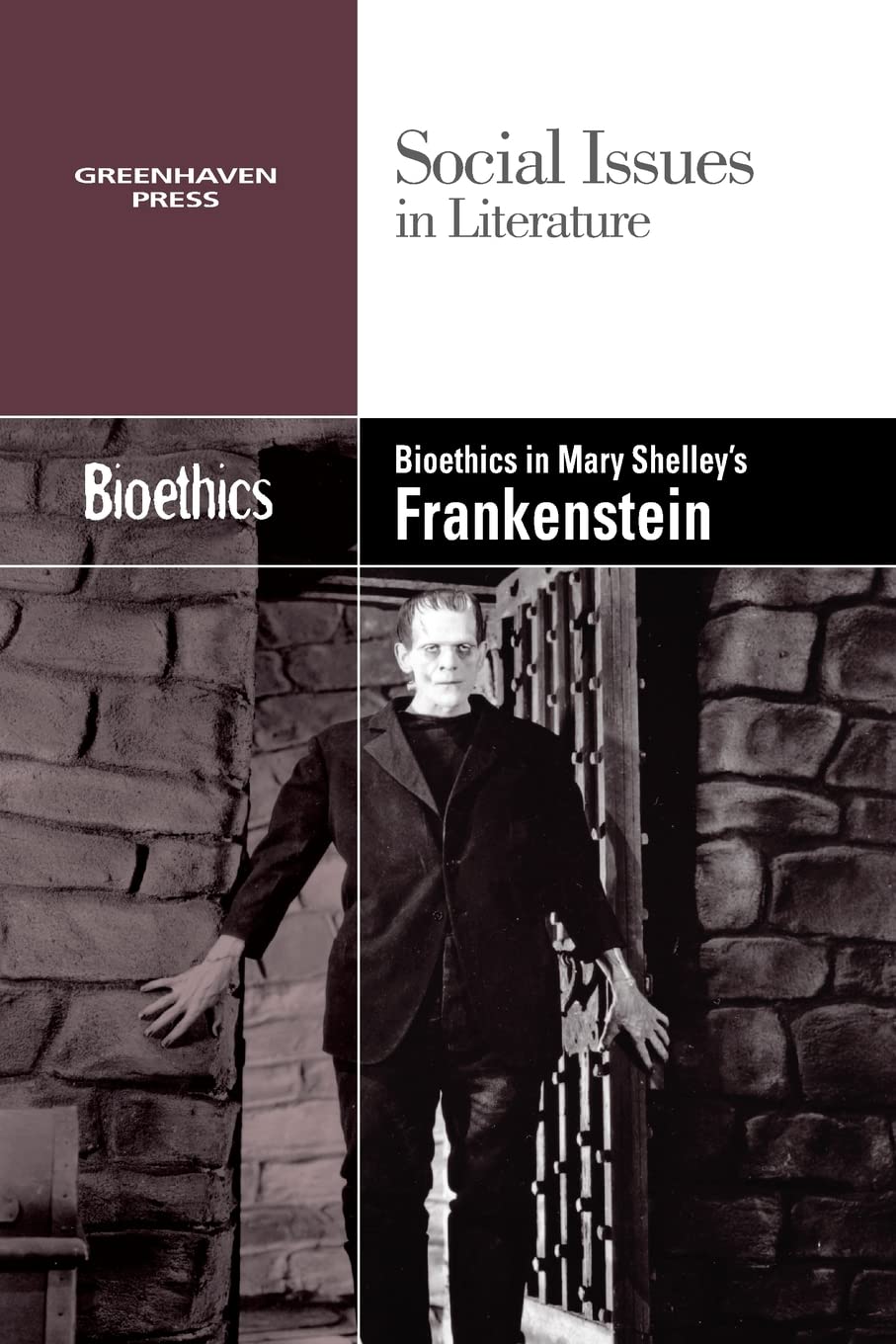 Bioethics in Mary Shelley's Frankenstein