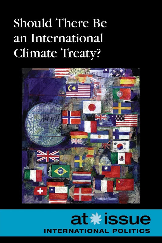 Should There Be an International Climate Treaty?