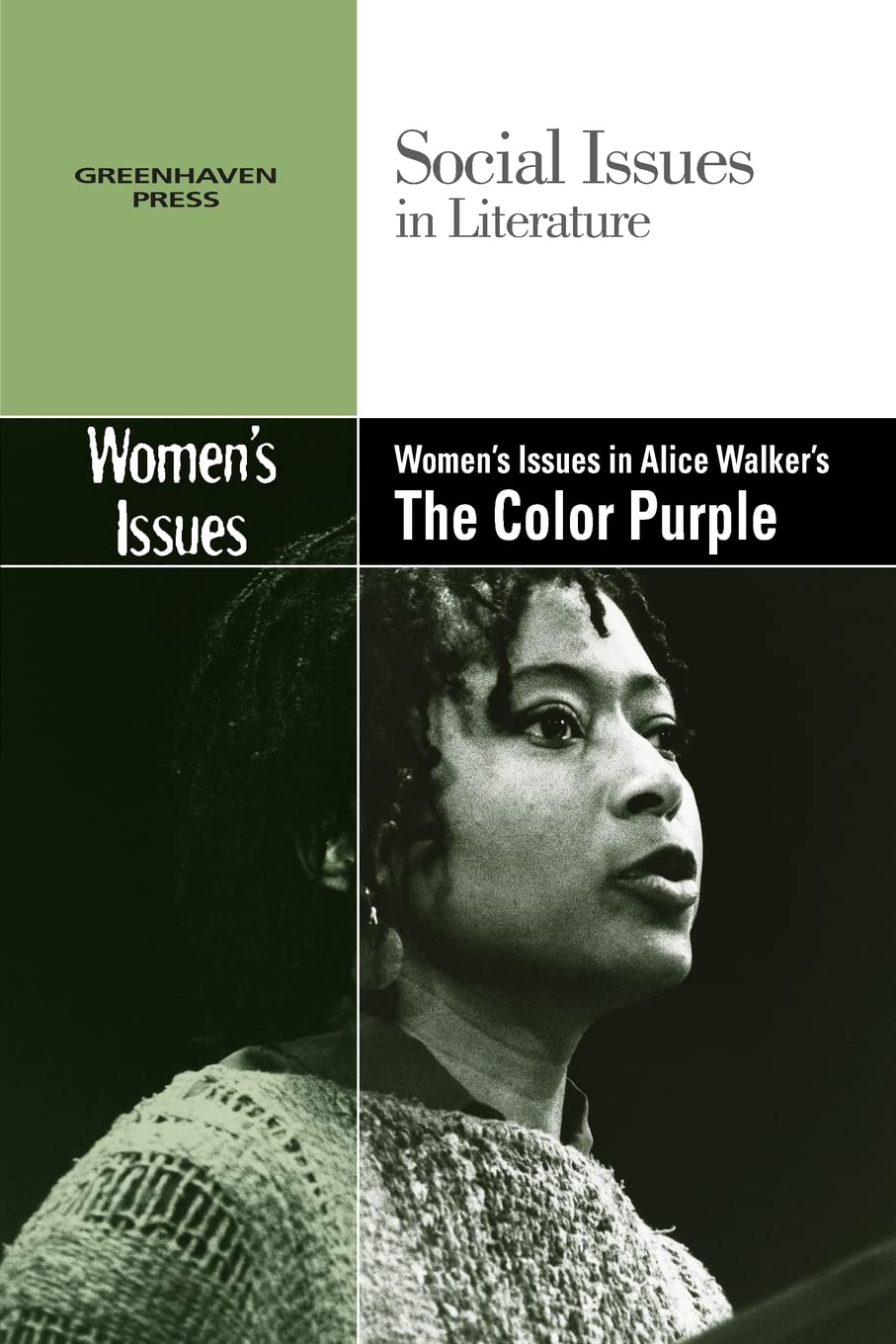 Women's Issues in Alice Walker's the Color Purple