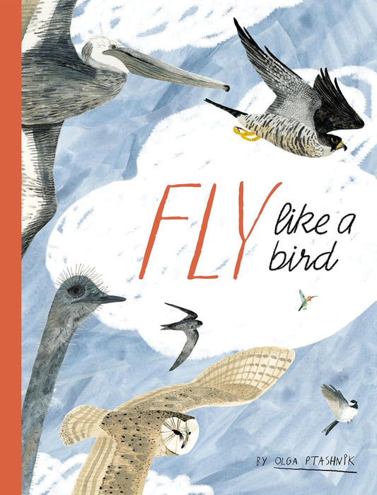 Fly Like a Bird