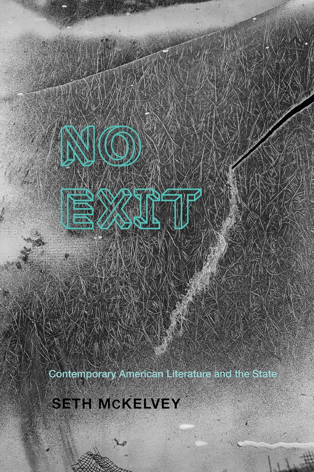 No Exit Contemporary American Literature and the State