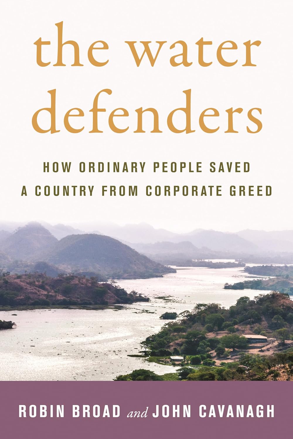 The Water Defenders: How Ordinary People Saved a Country from Corporate Greed (Adapted Edition, a Graphic Adaptation)