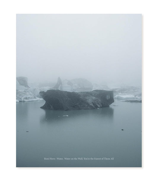 Roni Horn: Water Water on the Wall, You're the Fairest of Them All