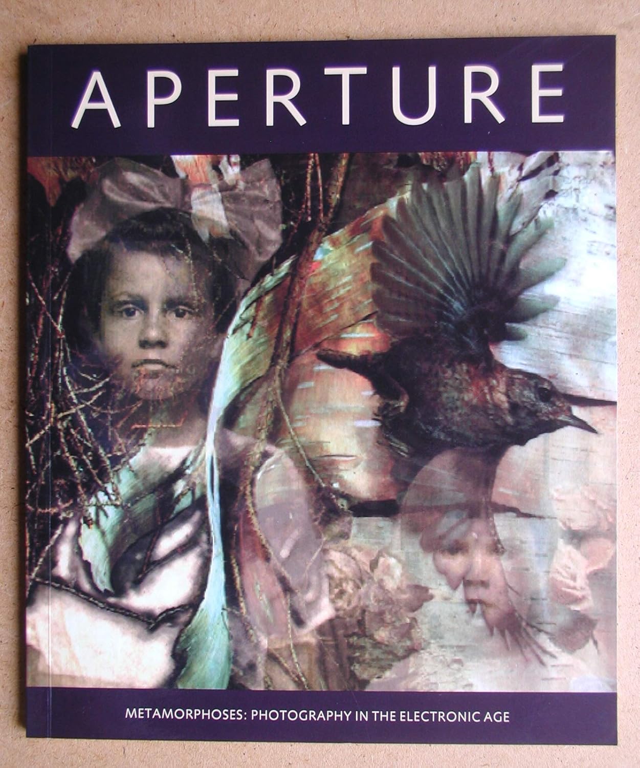Metamorphoses: Photography in the Electronic Age: Aperture 136