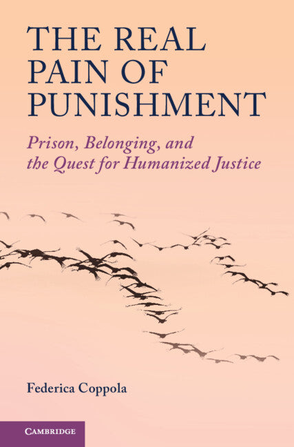The Real Pain of Punishment: Prison, Belonging, and the Quest for Humanized Justice