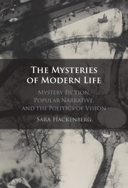 The Mysteries of Modern Life: Mystery Fiction, Popular Narrative, and the Politics of Vision