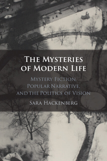 The Mysteries of Modern Life: Mystery Fiction, Popular Narrative, and the Politics of Vision