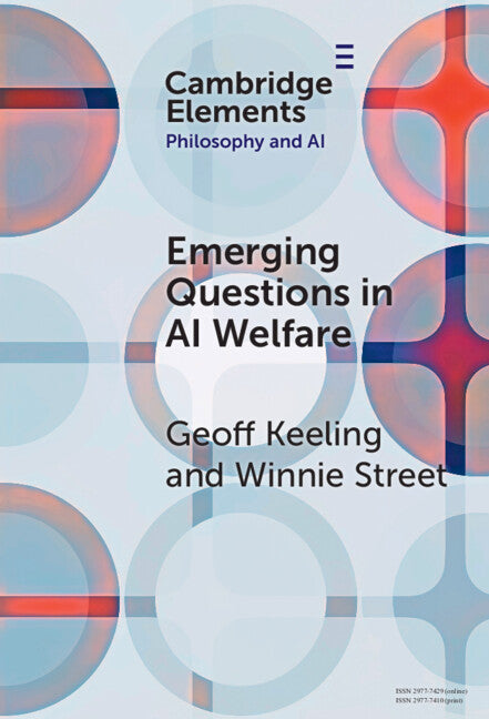 Emerging Questions in AI Welfare