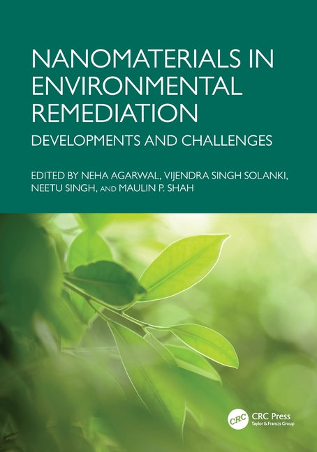 Nanomaterials in Environmental Remediation: Developments and Challenges