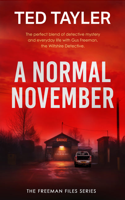 A Normal November: A Cold Case Murder Mystery Series