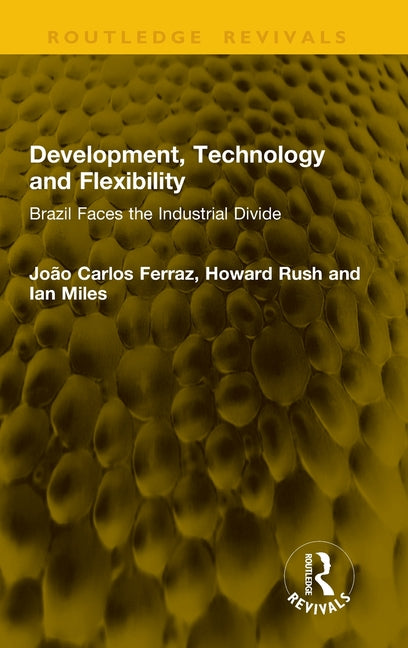 Development, Technology and Flexibility: Brazil Faces the Industrial Divide