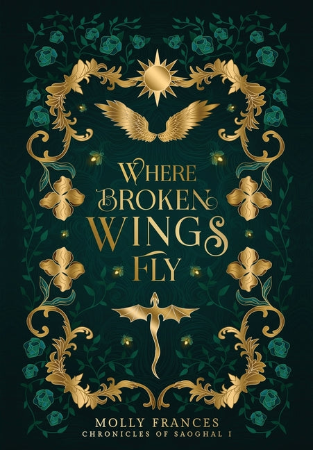 Where Broken Wings Fly