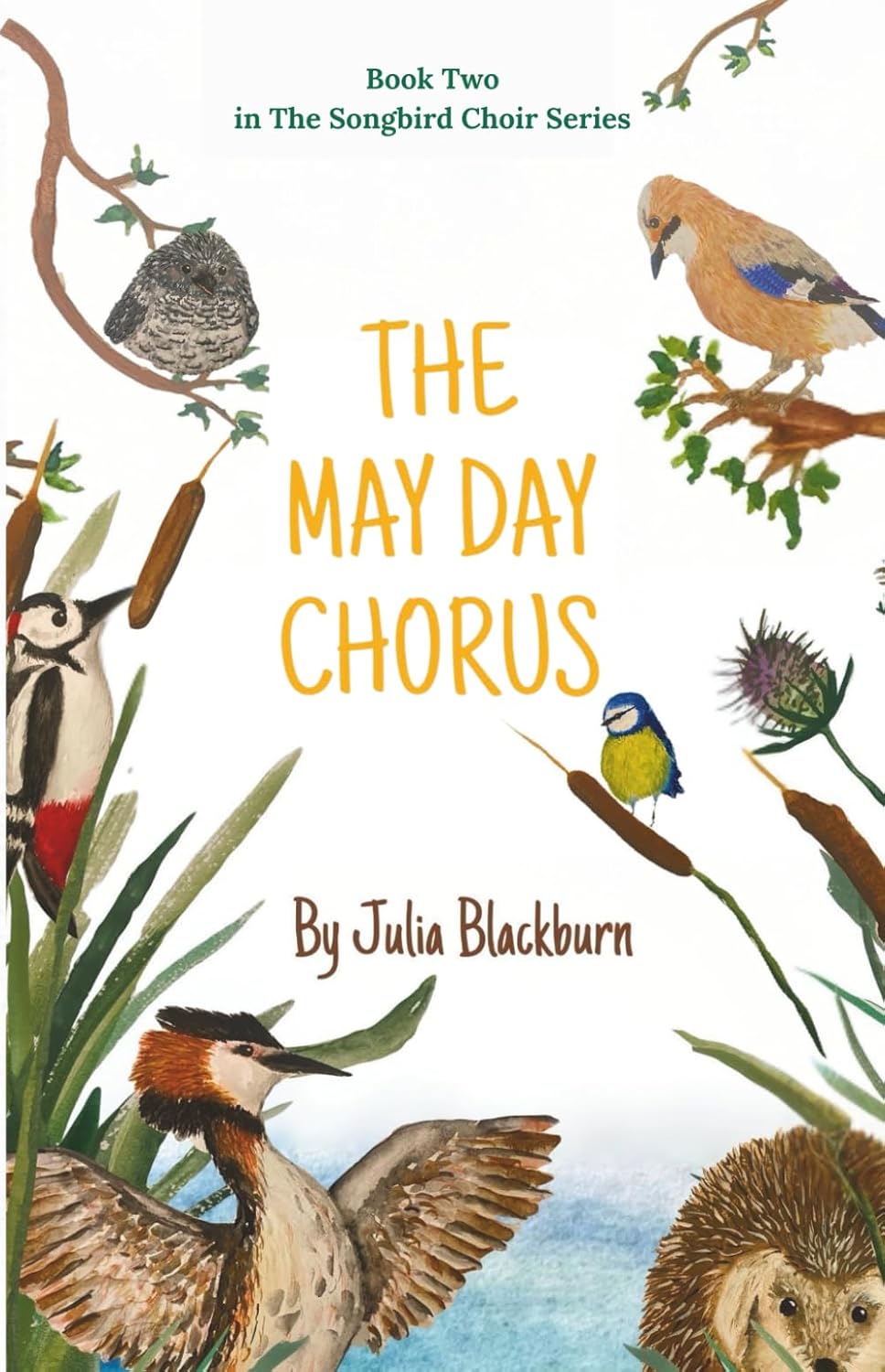 The May Day Chorus: Can a forbidden song bring the swallows home?