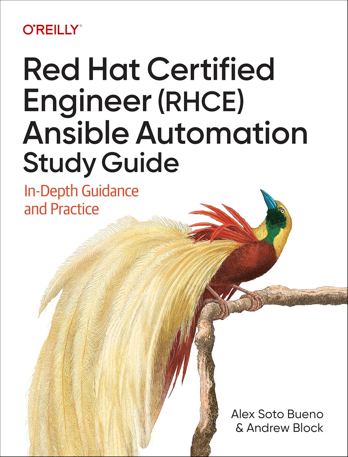 Red Hat Certified Engineer (Rhce) Ansible Automation Study Guide: In-Depth Guidance and Practice
