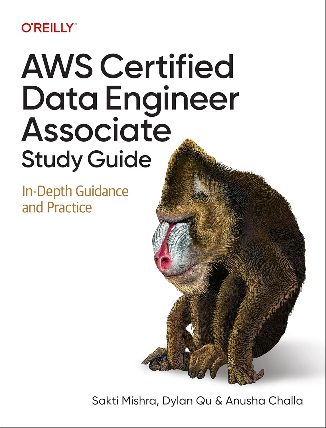AWS Certified Data Engineer Associate Study Guide: In-Depth Guidance and Practice